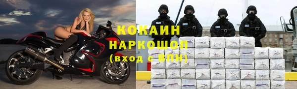 каннабис Богданович